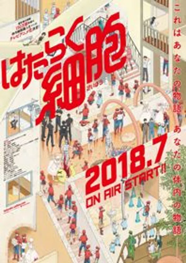 Xem Phim Hataraku Saibou Vietsub HD Online
