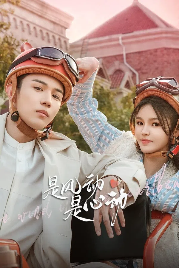 Xem Phim Là Gió Lay Hay Tim Rung Động Vietsub HD Online