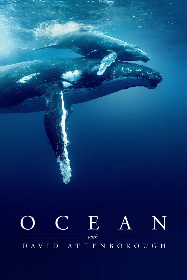 Xem Phim Ocean with David Attenborough Vietsub HD Online