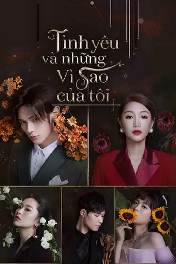 Xem Phim Tình Yêu Và Những Vì Sao Của Tôi Vietsub HD Online