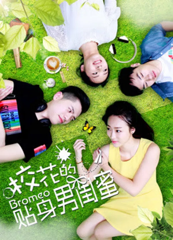 Poster phim Tri kỷ nam của hoa khôi trên SubNhanh